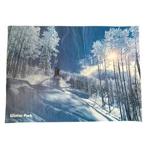 VTG Winter Park Ski Poster 1978 Morning Sun Ron Dahlquist Photographer READ
